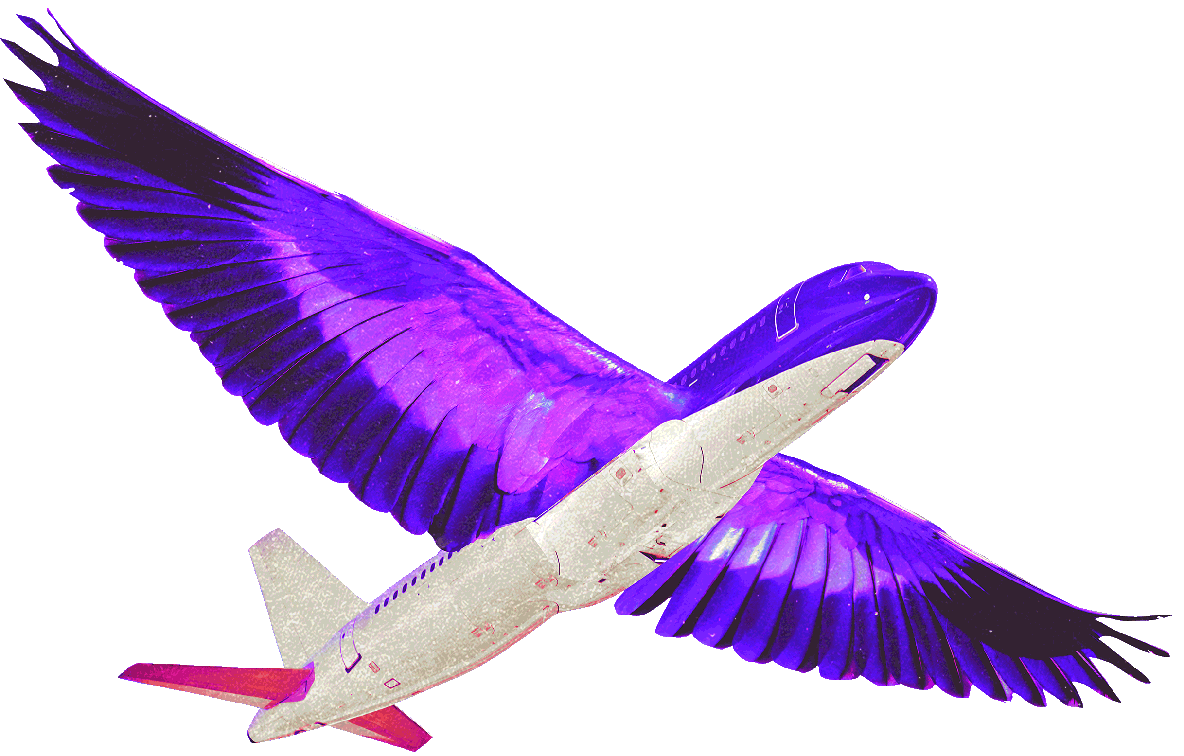 Plane Wing